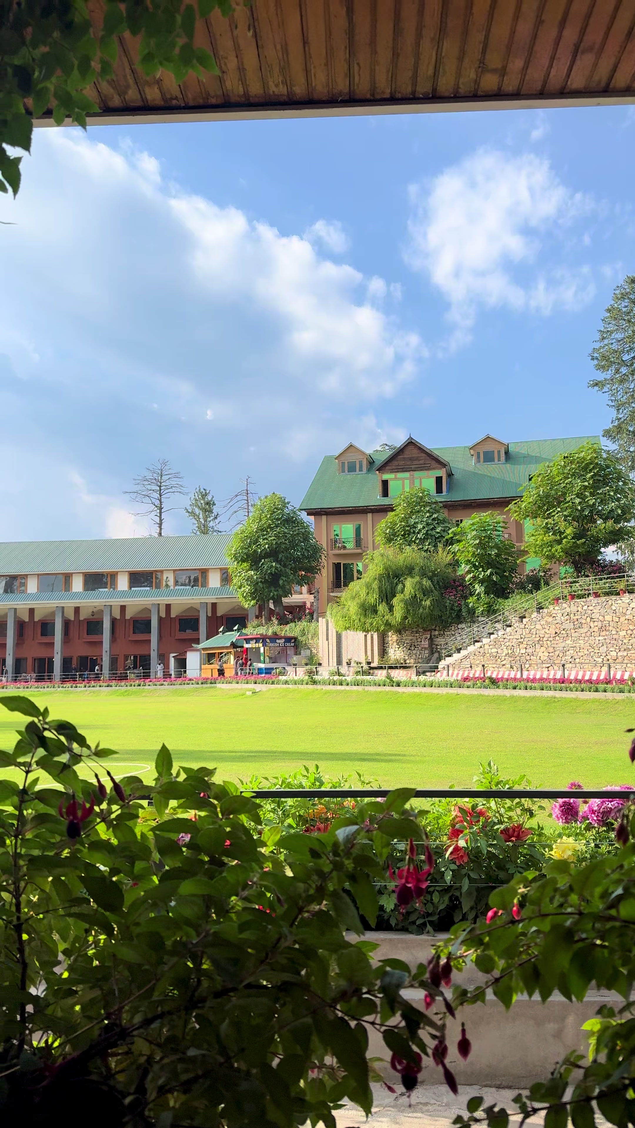 @Shogran Vibes