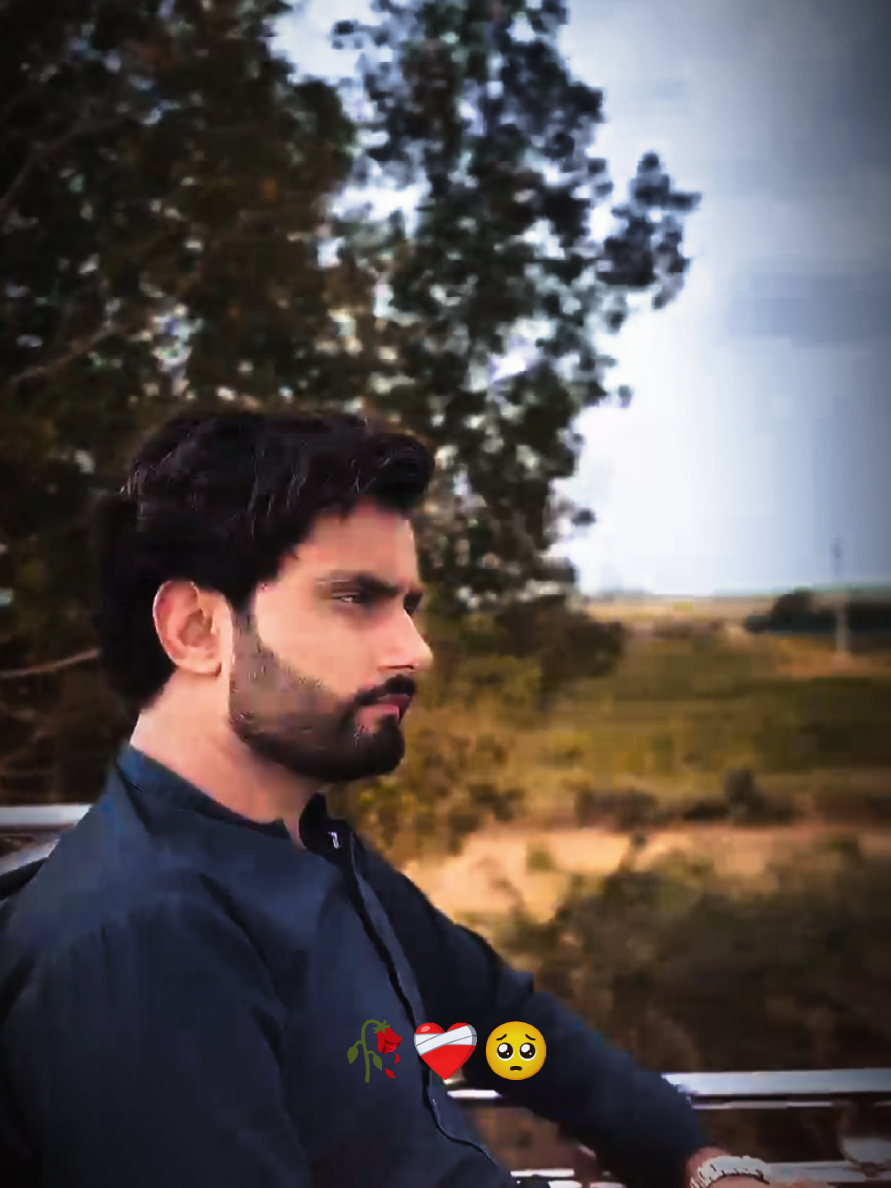 @Aniqa Arain