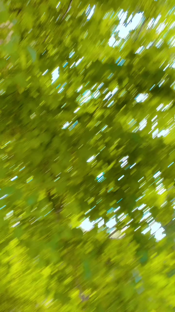 @꧁༺༒〖&deg;𝕤𝕠𝕙𝕒𝕚𝕝&deg;〗༒༻꧂