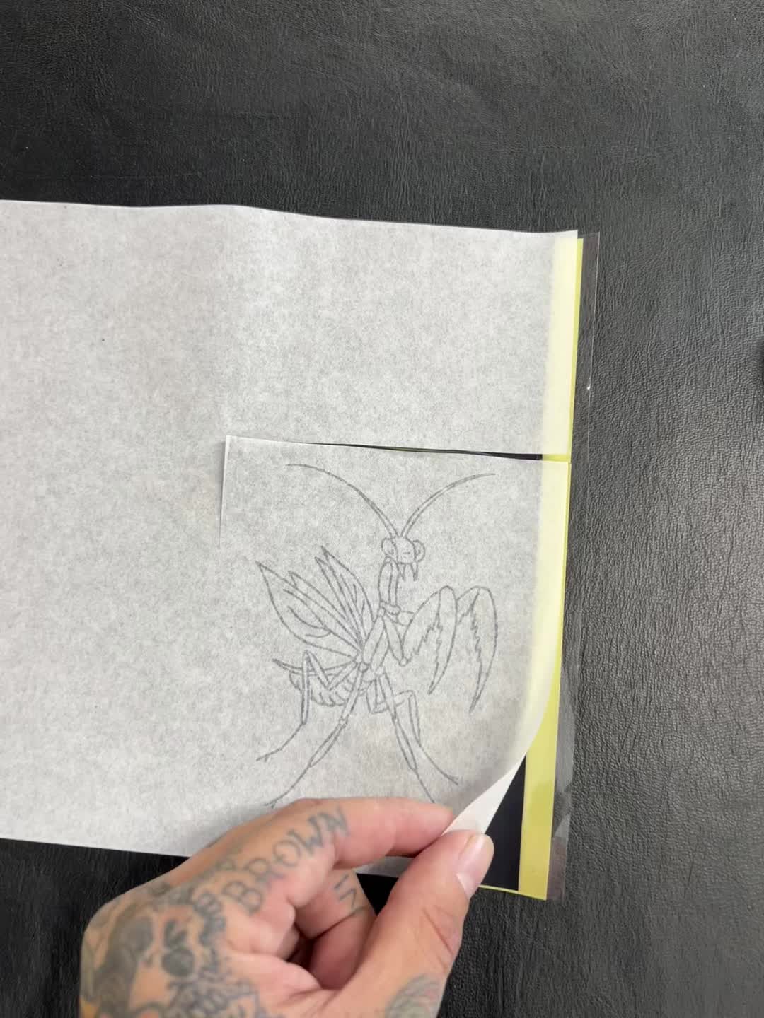 @Brown_diablo