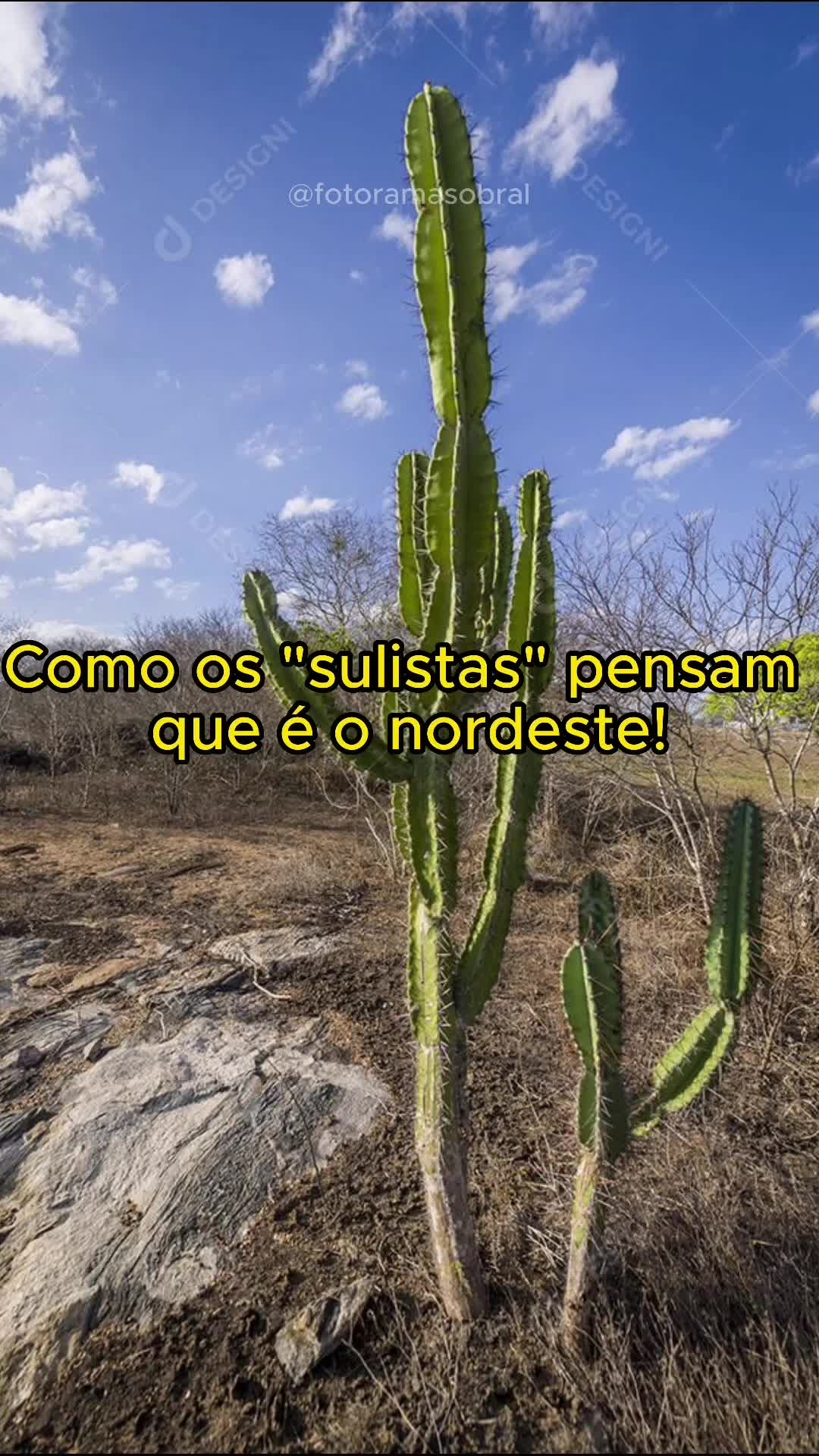 @Fotoramasobral