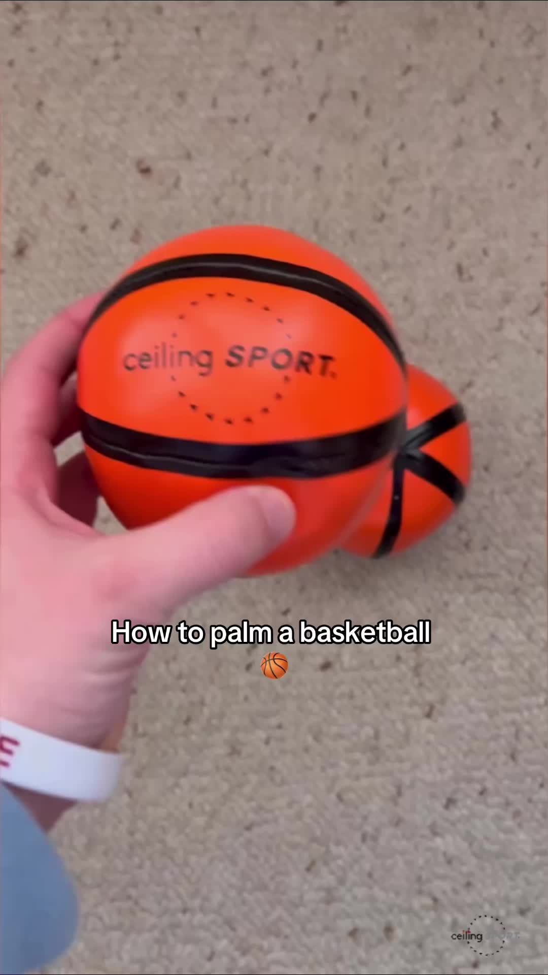 @Ceiling Sport