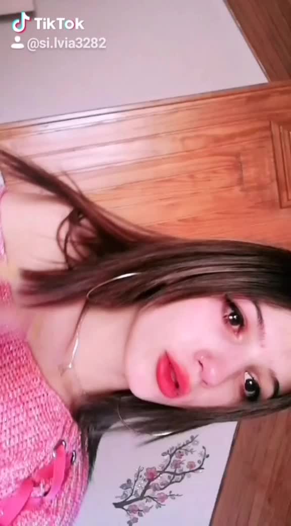 @si.lvia3282
