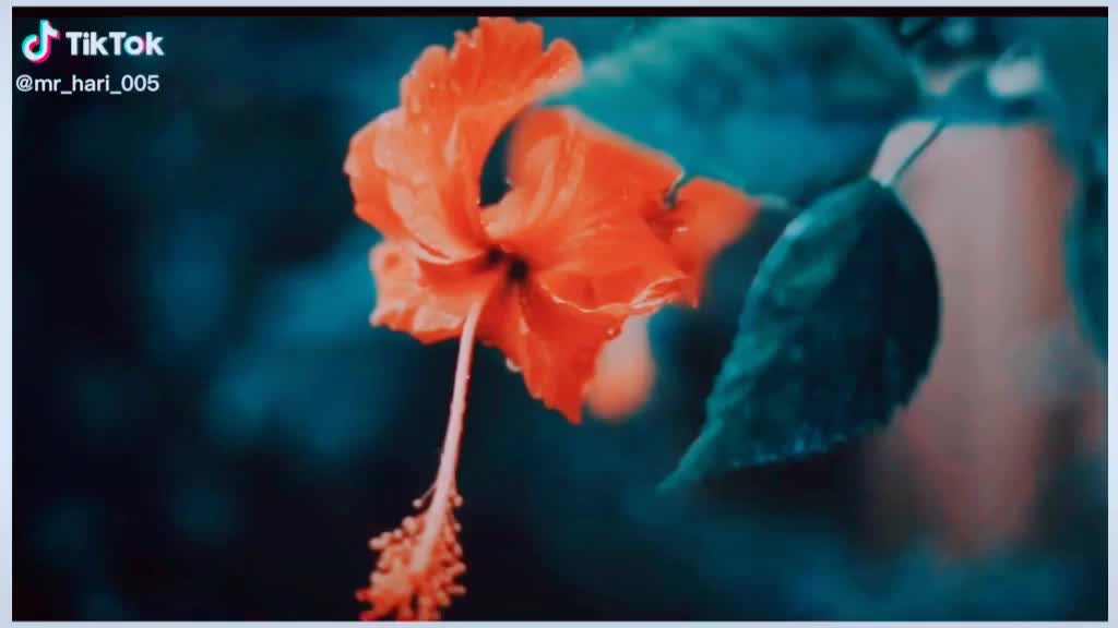 @Prakash kumar P. K