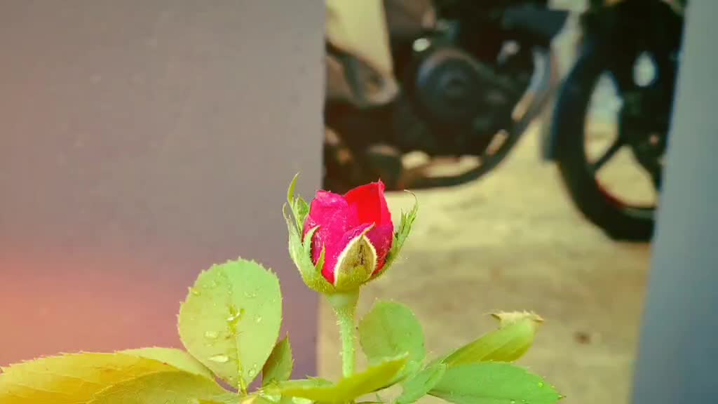 @Aravind Juan