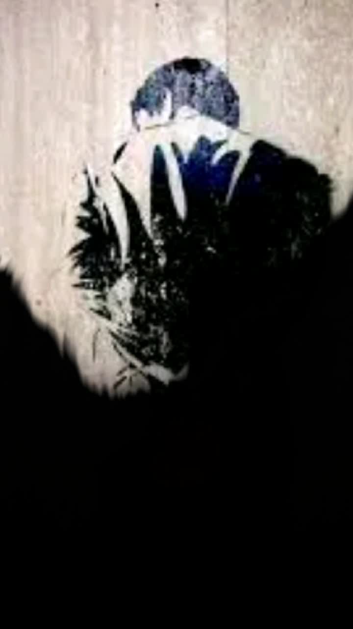 @๐ Siva 143 Pandu ๐