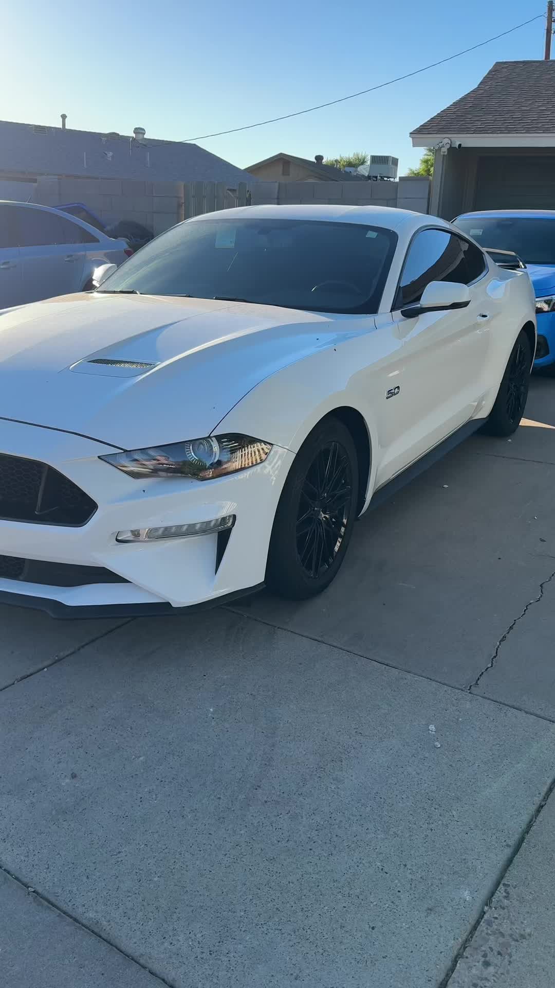@5.0 Snowyy