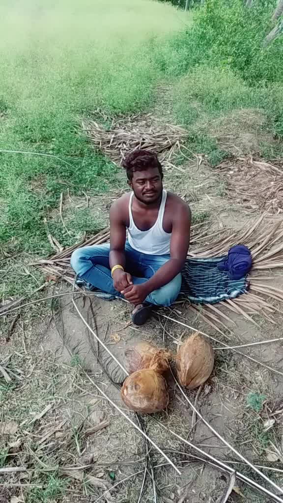 @peddusagar