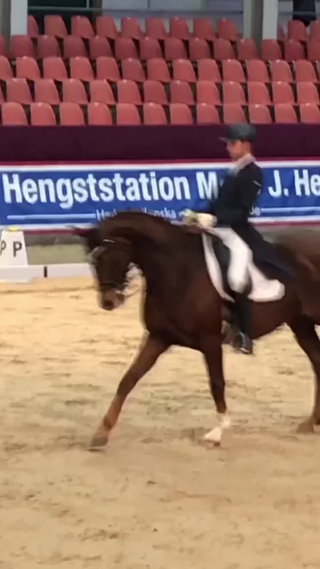 @Leben im Reitinternat