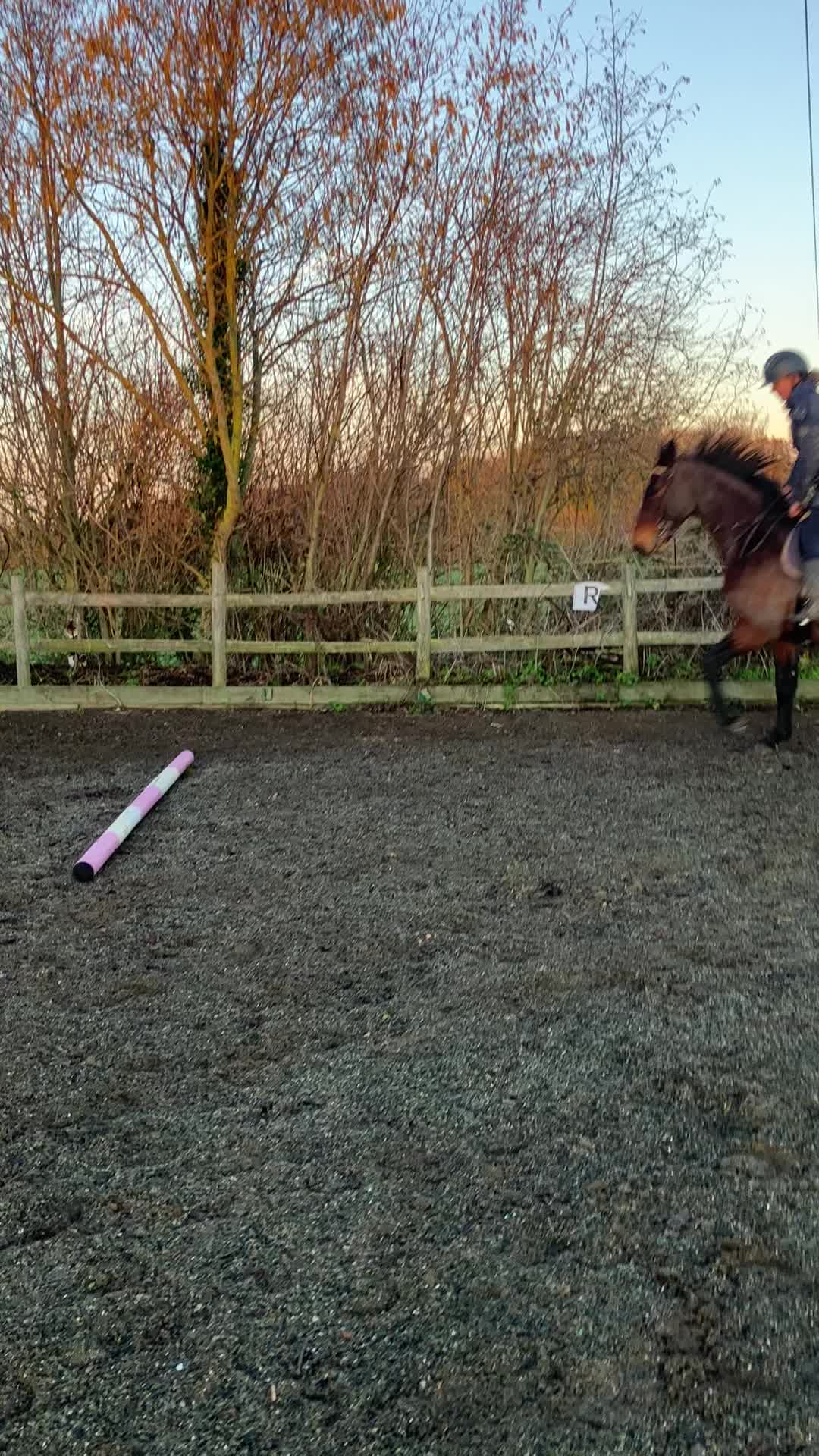 @JodiRandallEquine