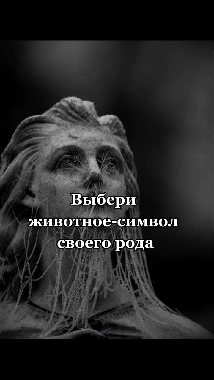 @🦇та самая ведьма🦇