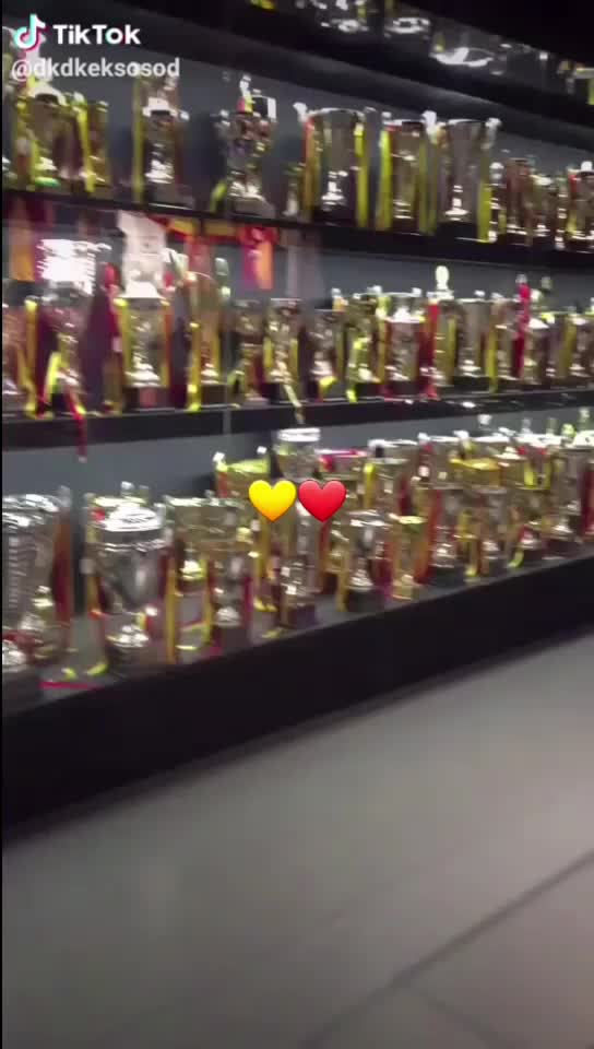 @galatasaraylı sude