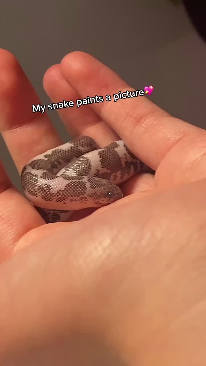 @Tortellini