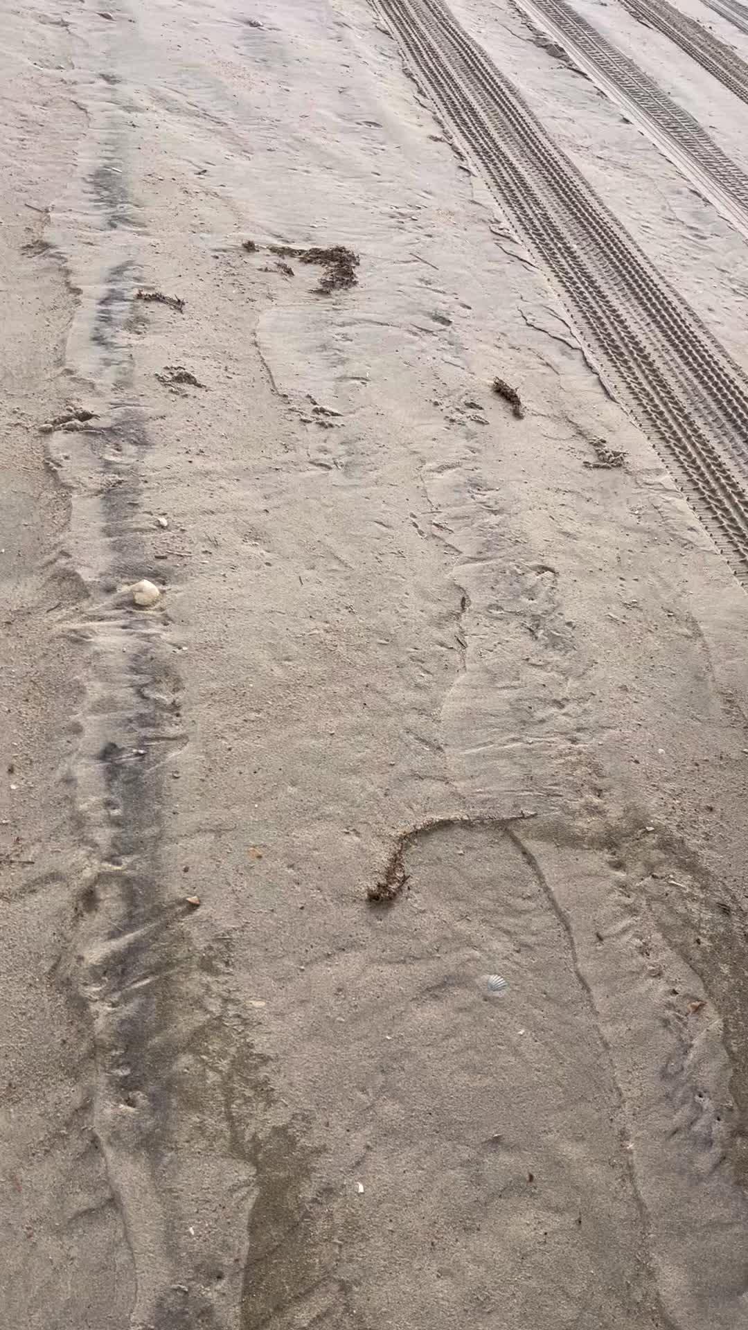 @BeachWavesTX