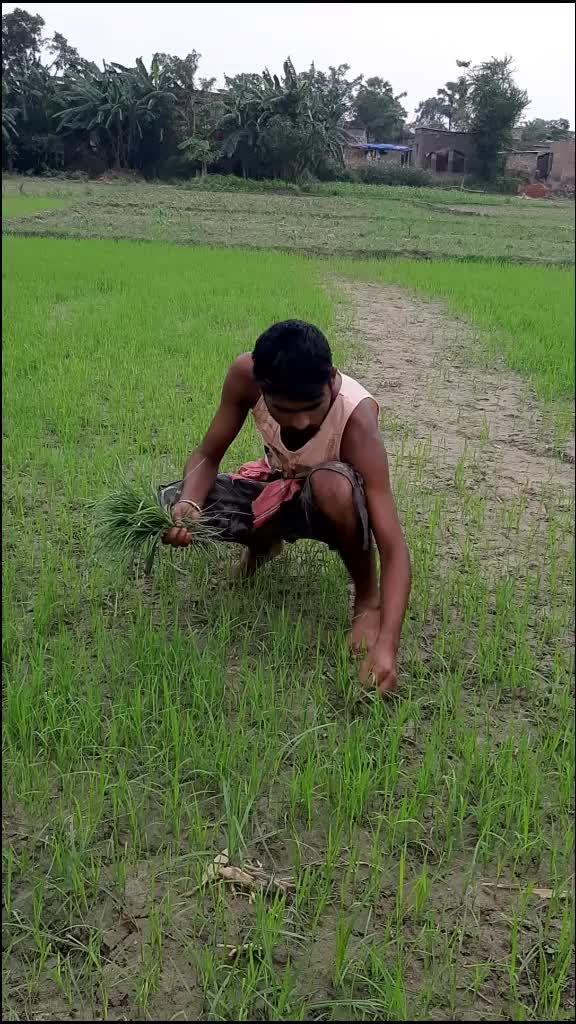 @Kush Kumar