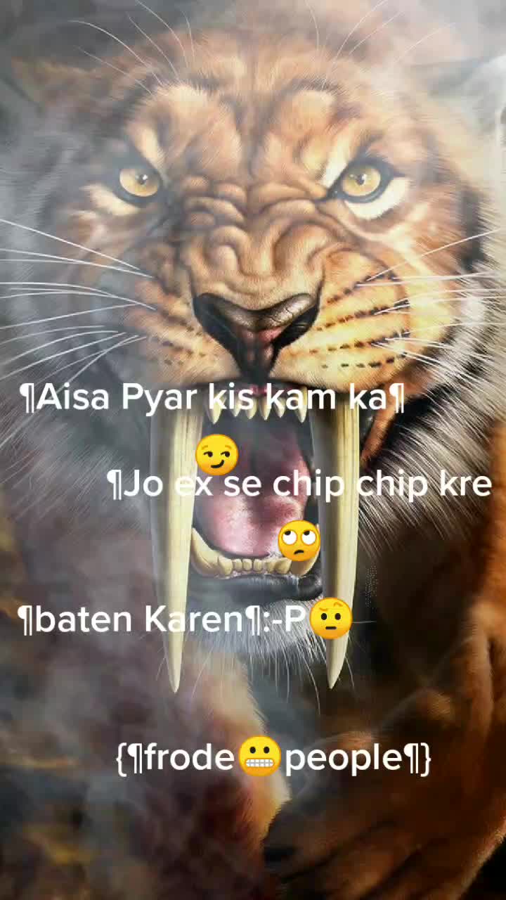 @Hacker Boy