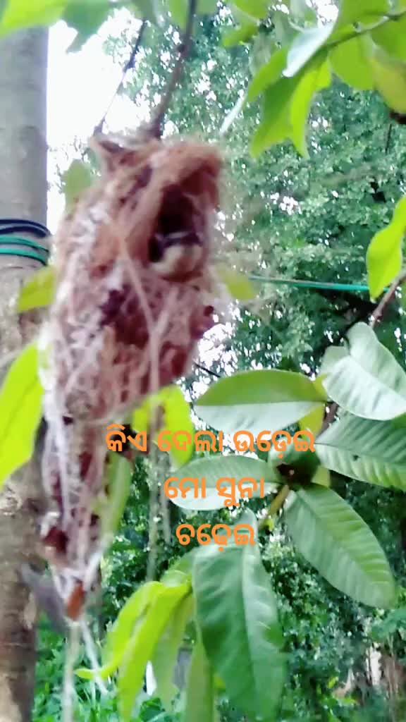 @R kumar
