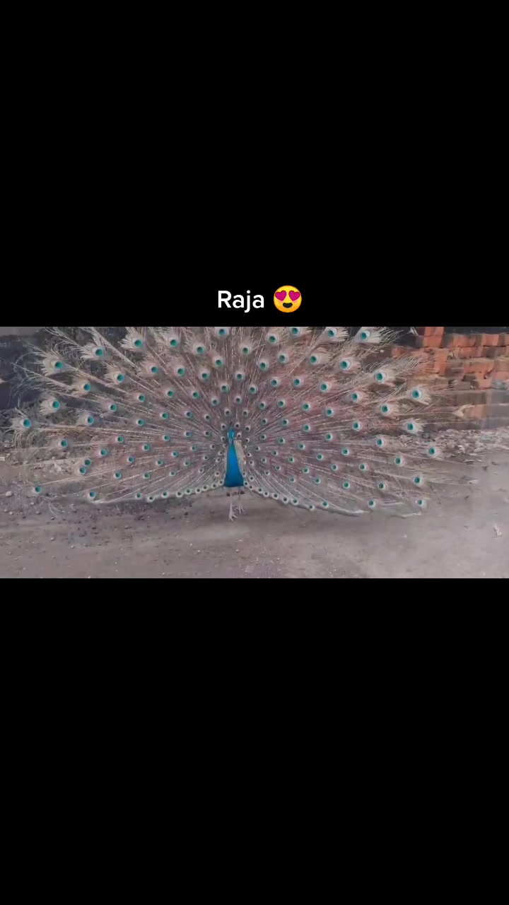 @Sagar Patil