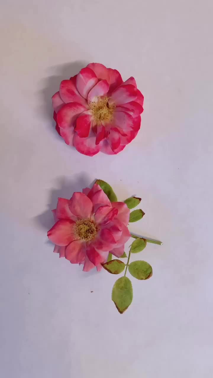@FaithandFleurShop