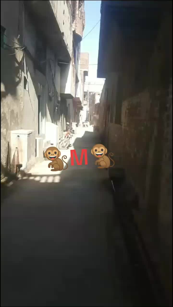 @Ladlamalik