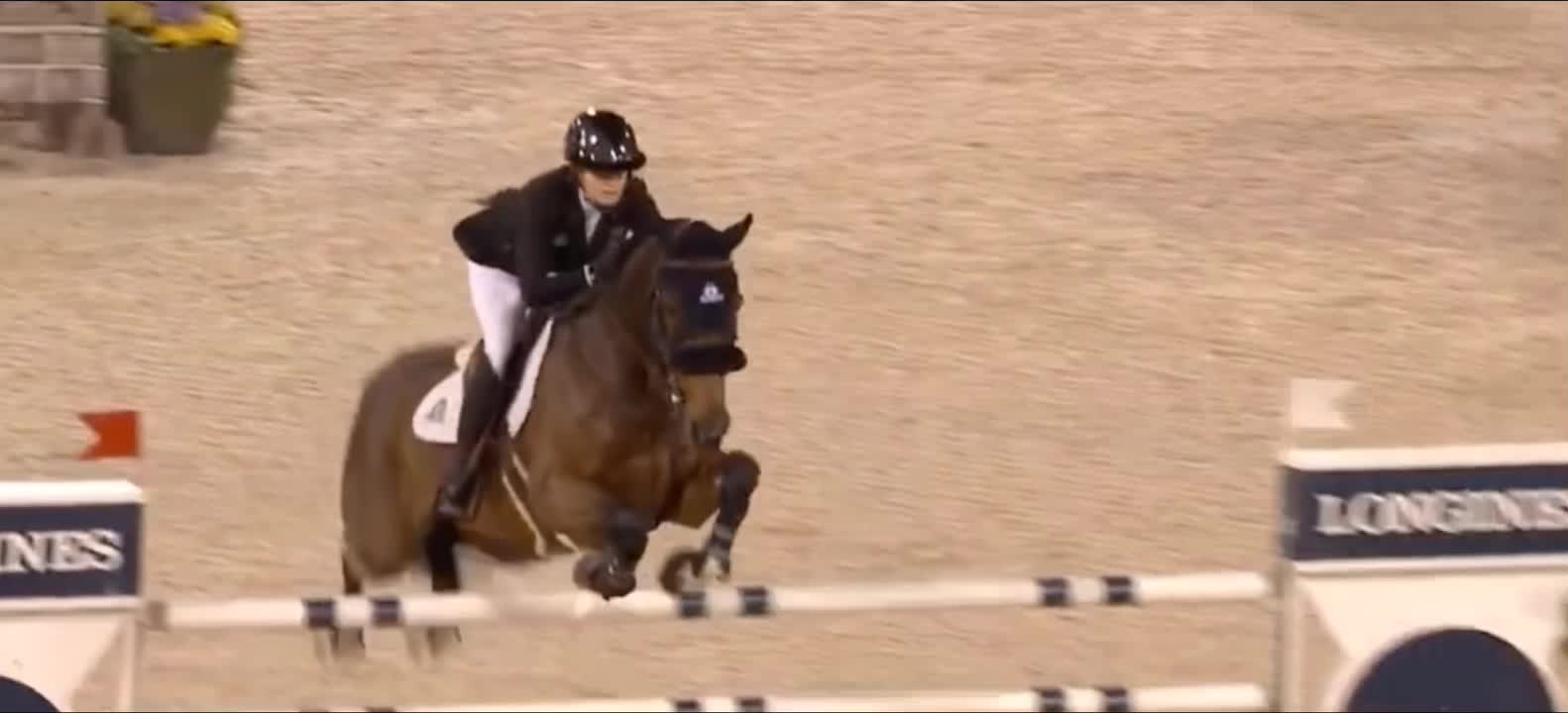 @Horses