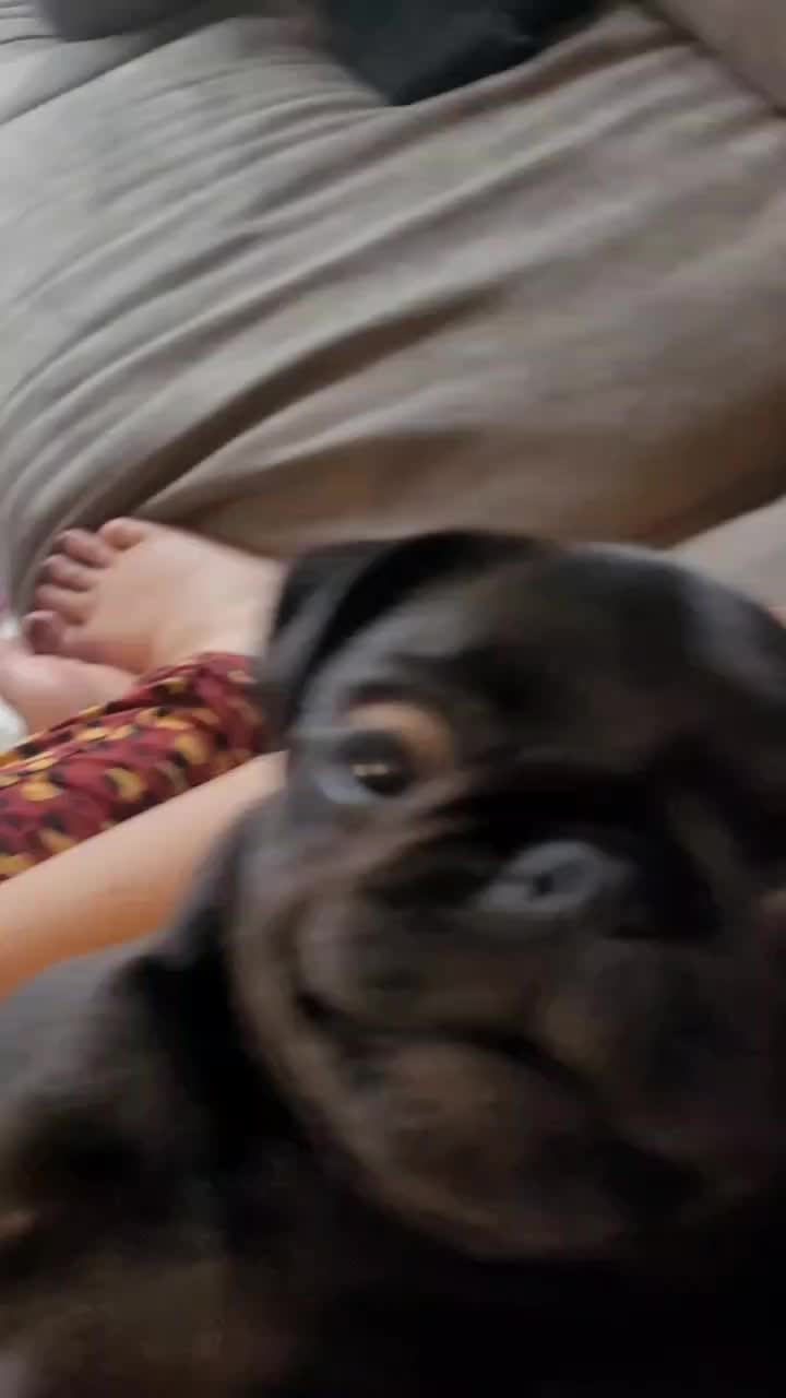 @T