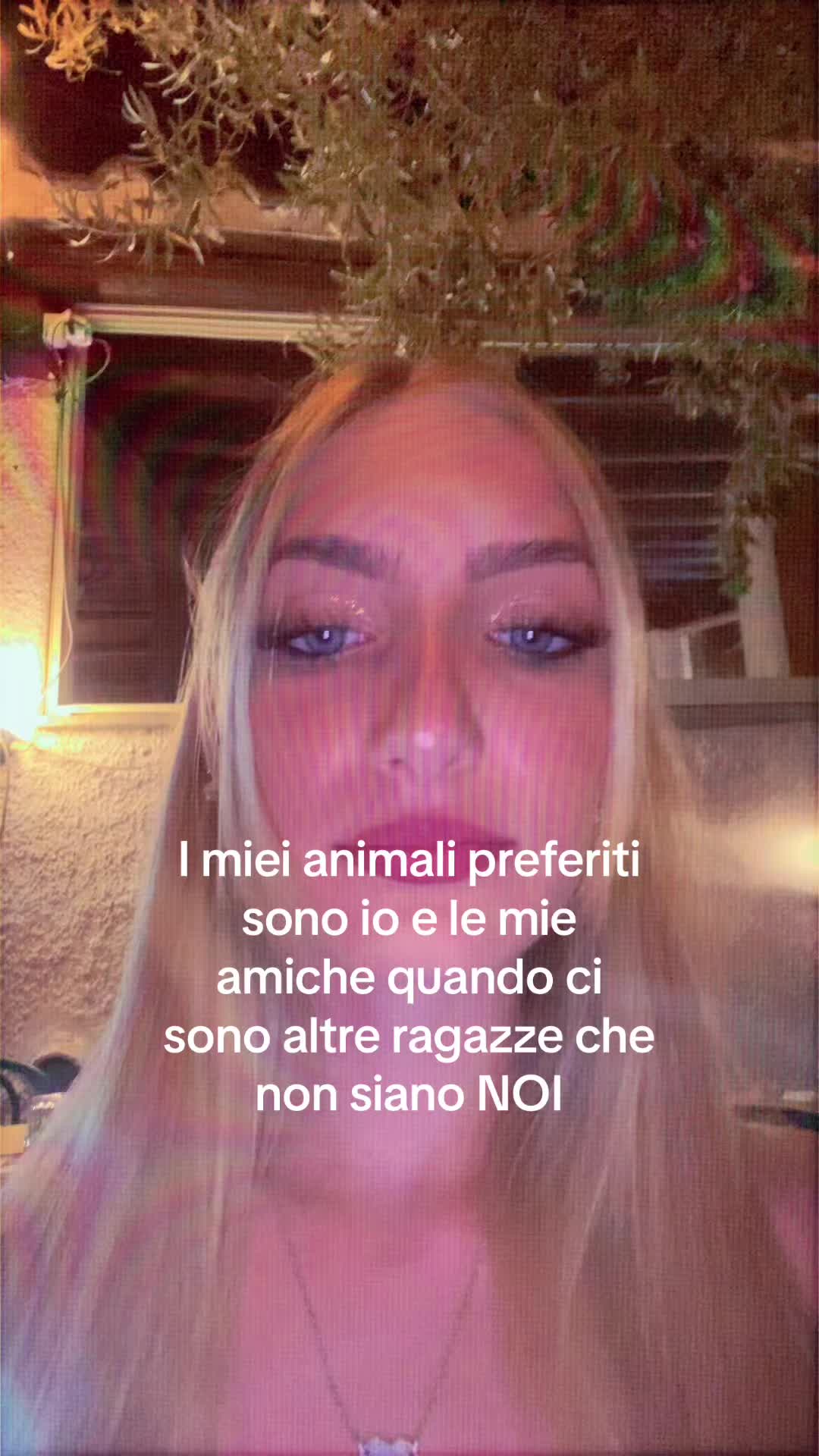 @🪽🪽