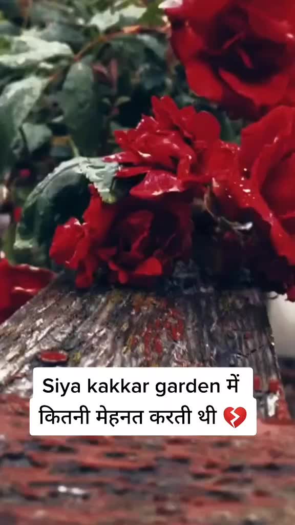 @nipunj702