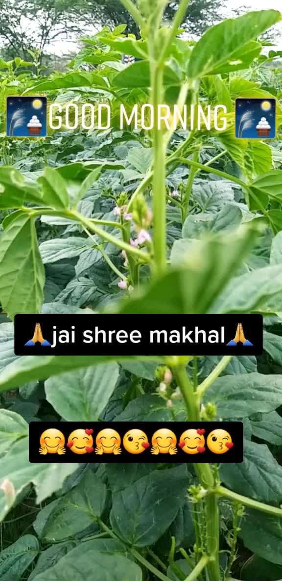 @👑king off ksrawat👑