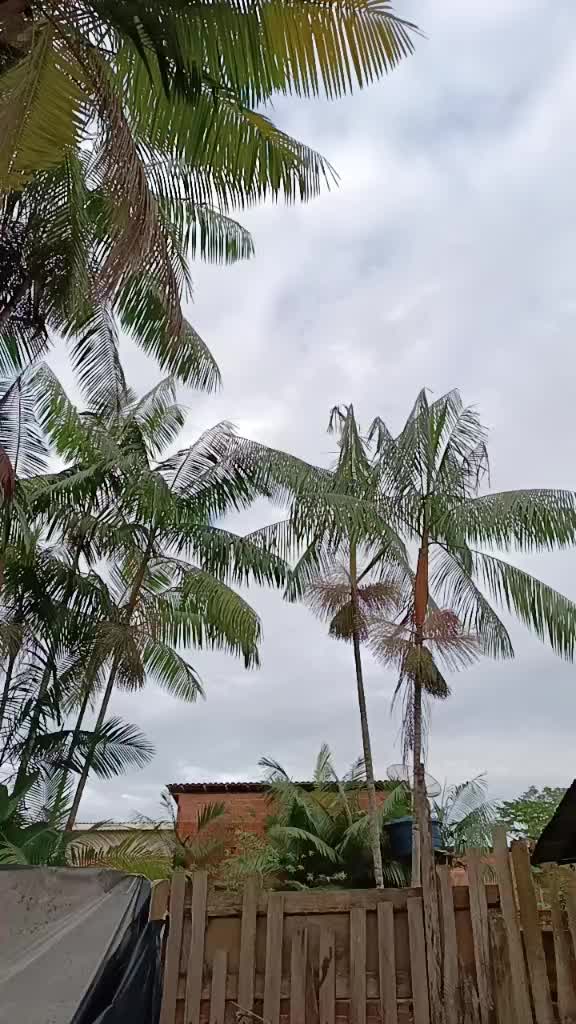 @Ronaldo