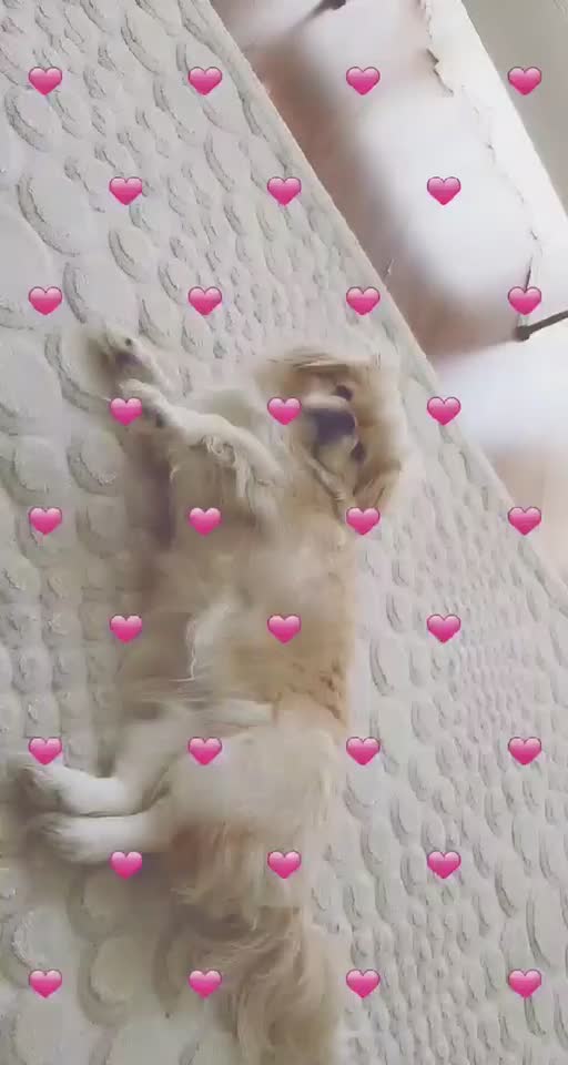 @Elabaybaşin