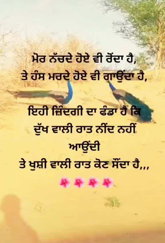 @Sukh