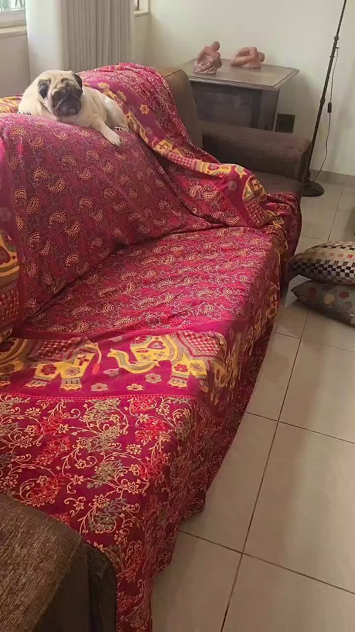 @Luisa Marun