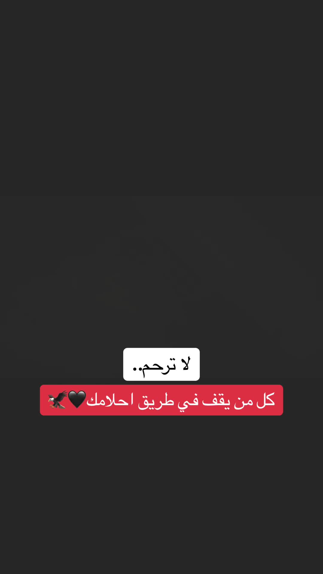 @🩶~Yk~🖤