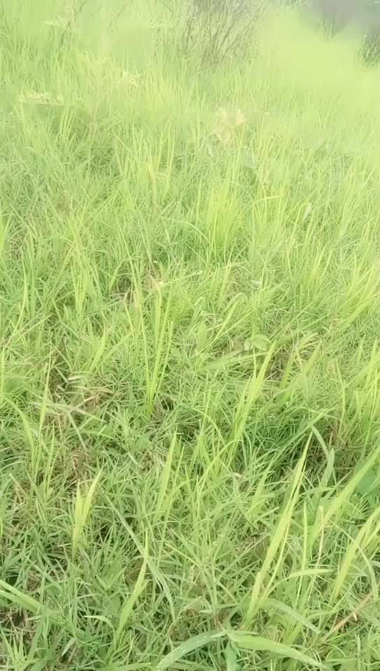 @Raghu kh palegara