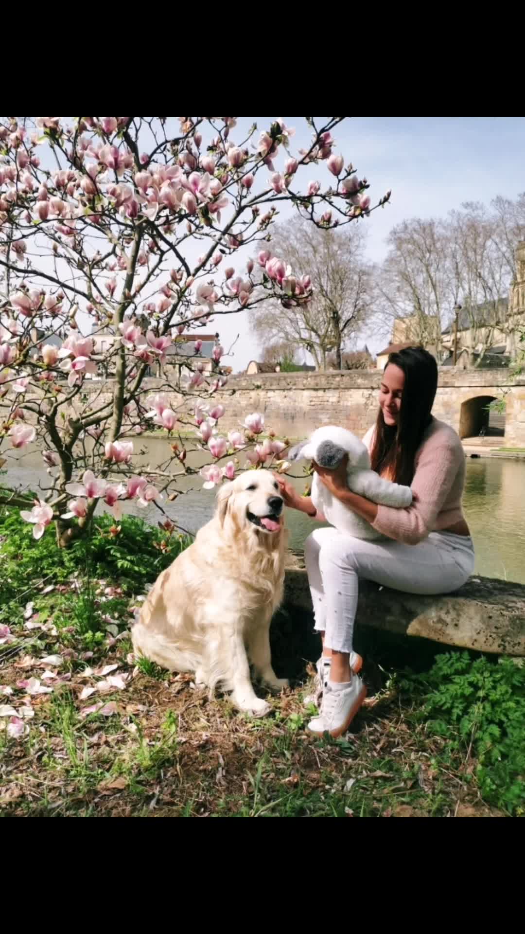 @Alison_Django