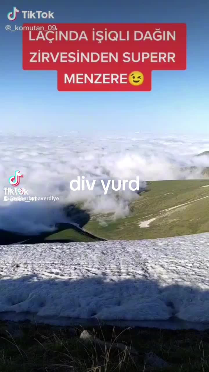 @41