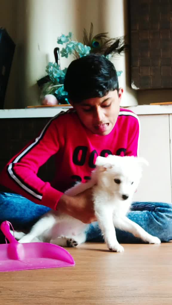 @I M TUFFY 🐶❤️