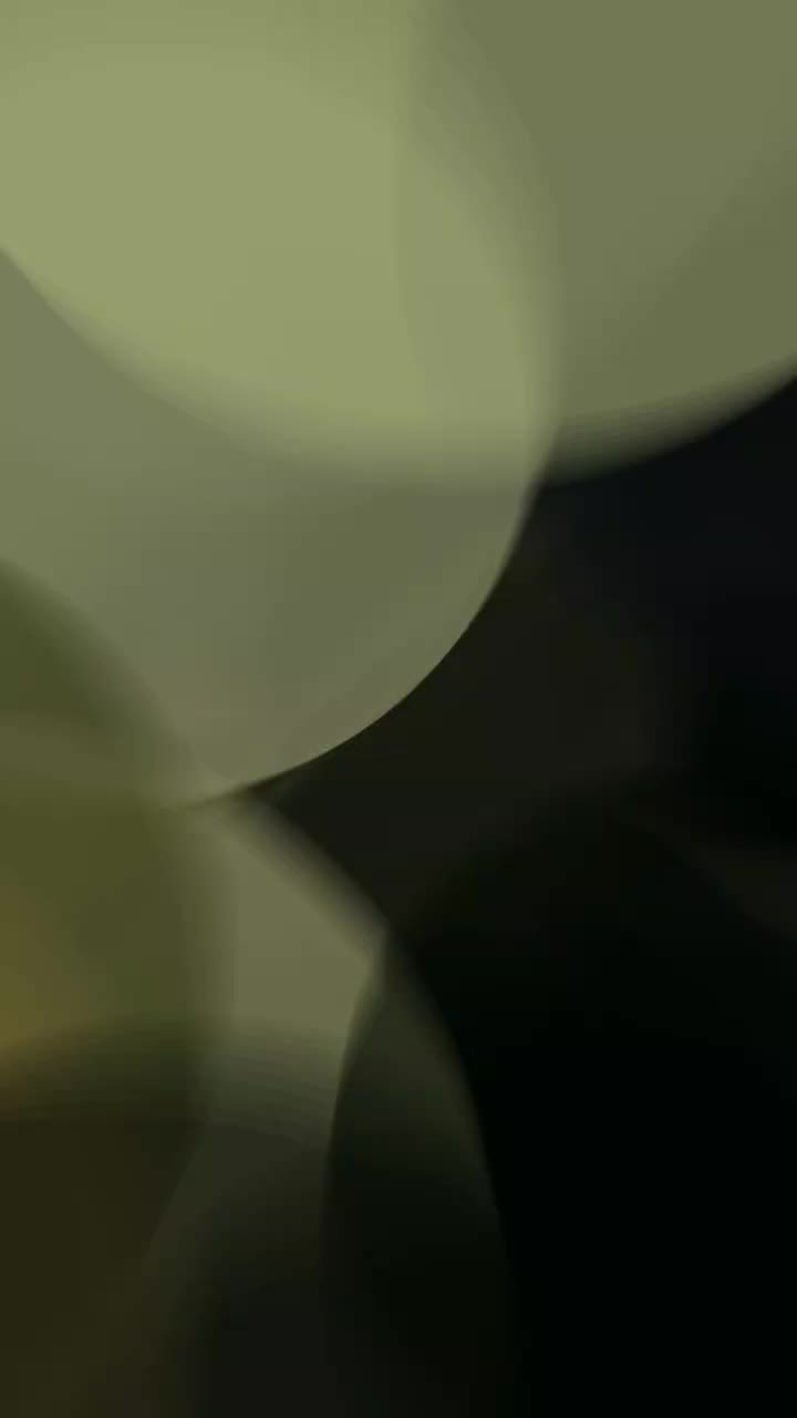 @🅑🅐🅓 🅑🅞🅨