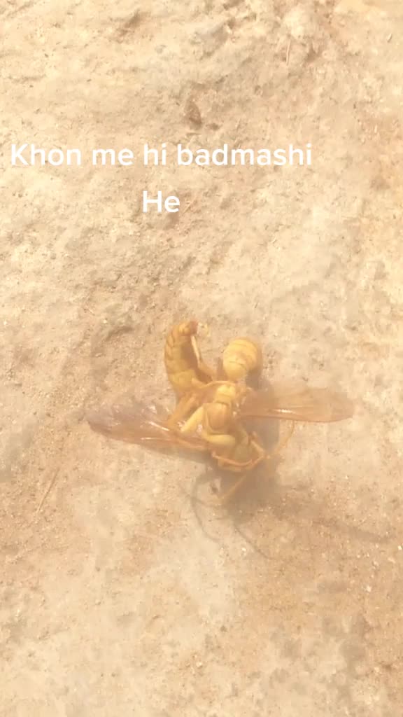 @shiva8826