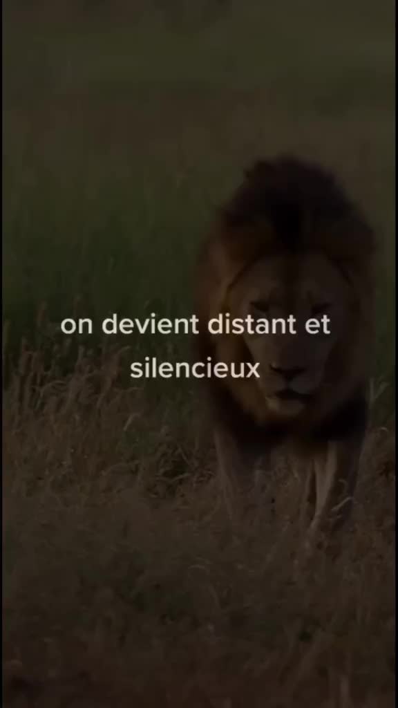 @légendes