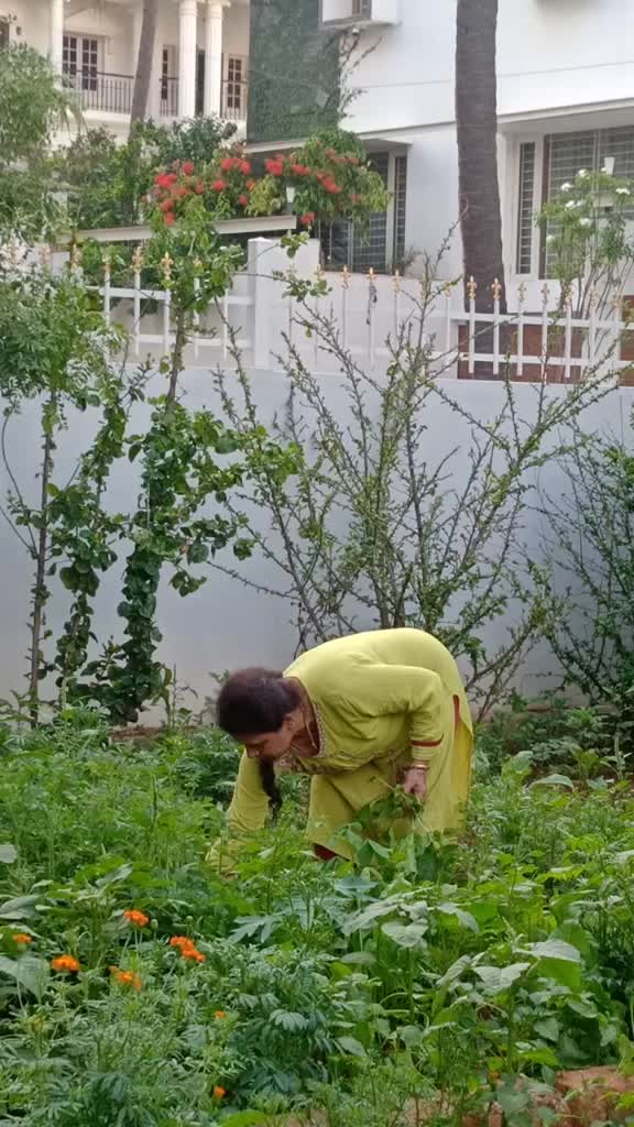 @18293qwer