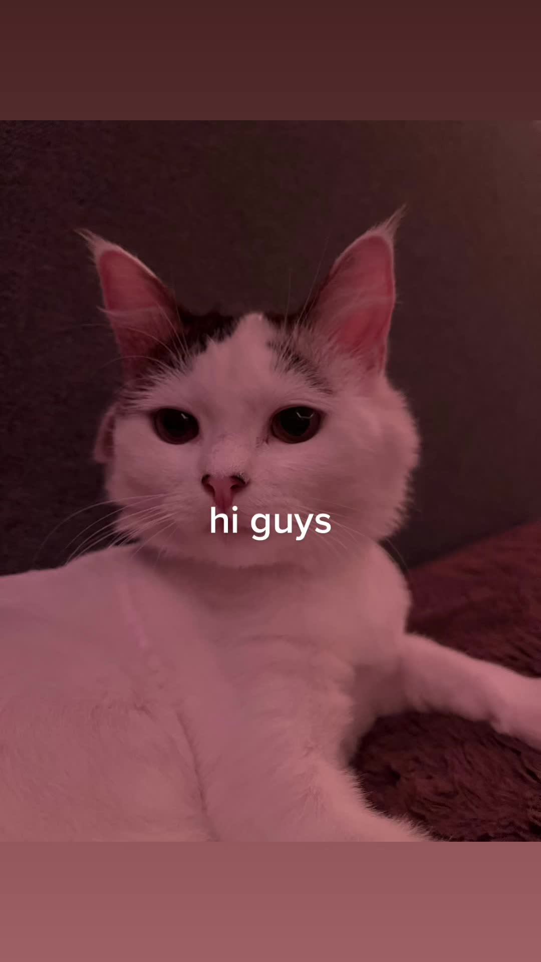 @sabrina