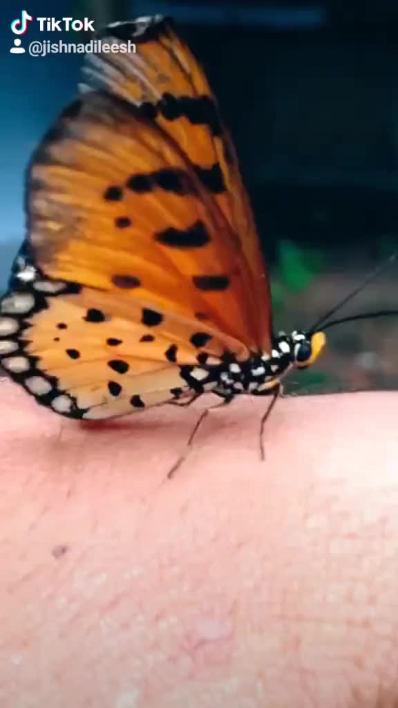 @കാന്താരിപെണ്ണ്🙆