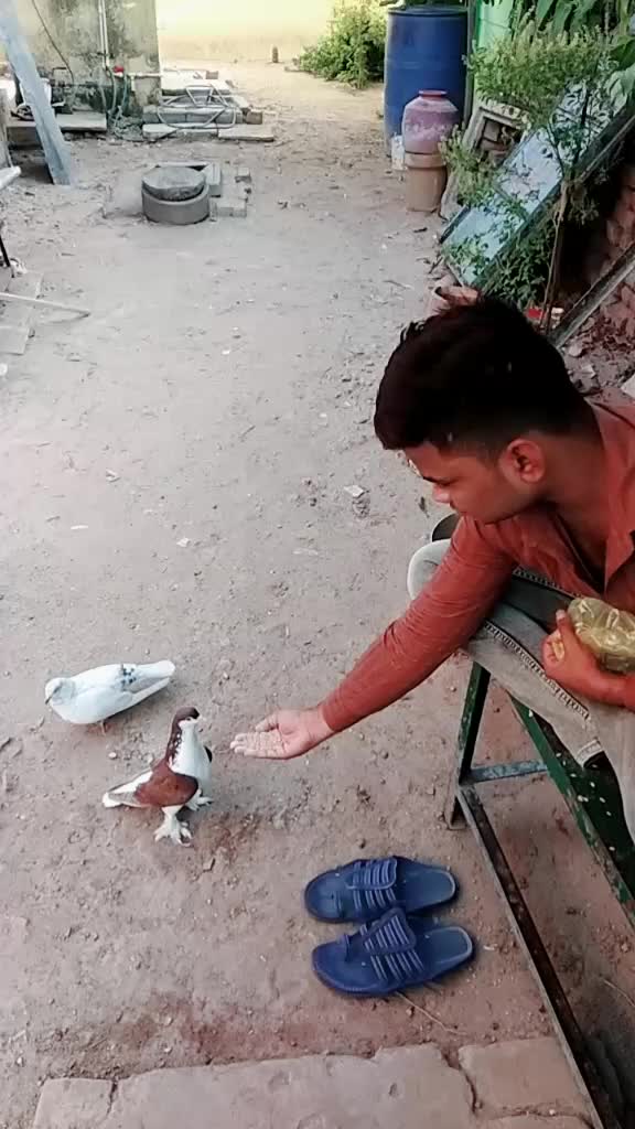 @Altaf Nawab