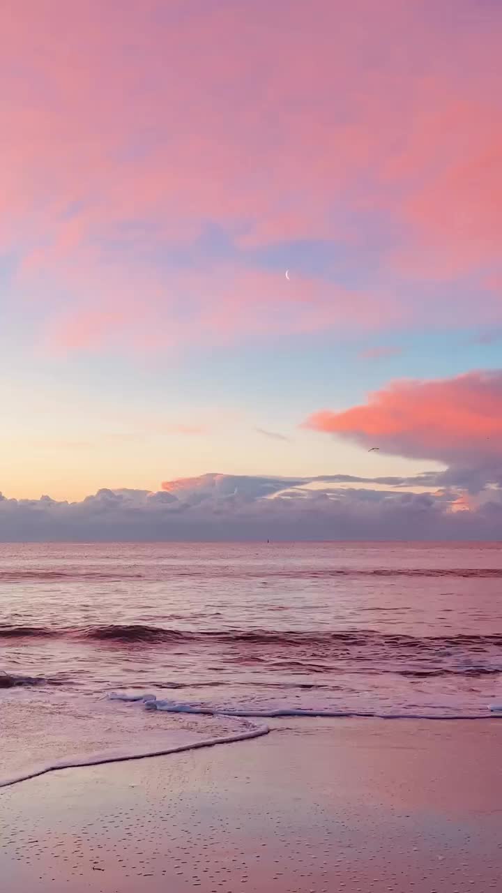 @Nature+Lofi