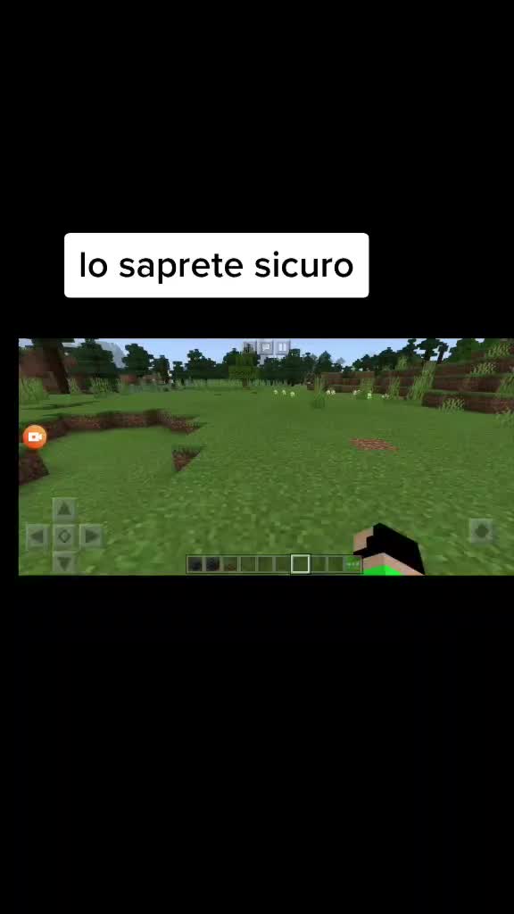 @minecraft_gamer_