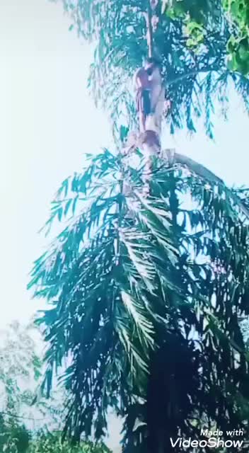 @കൊമ്പൻ