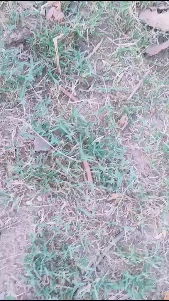 @Gourav Kumar