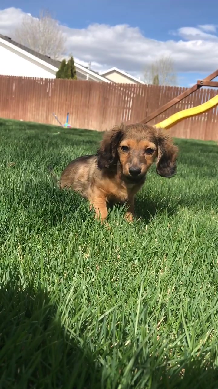 @𝐶𝑜𝑟𝑡𝑛𝑒𝑦 𝐿𝑦𝑛𝑛🪐